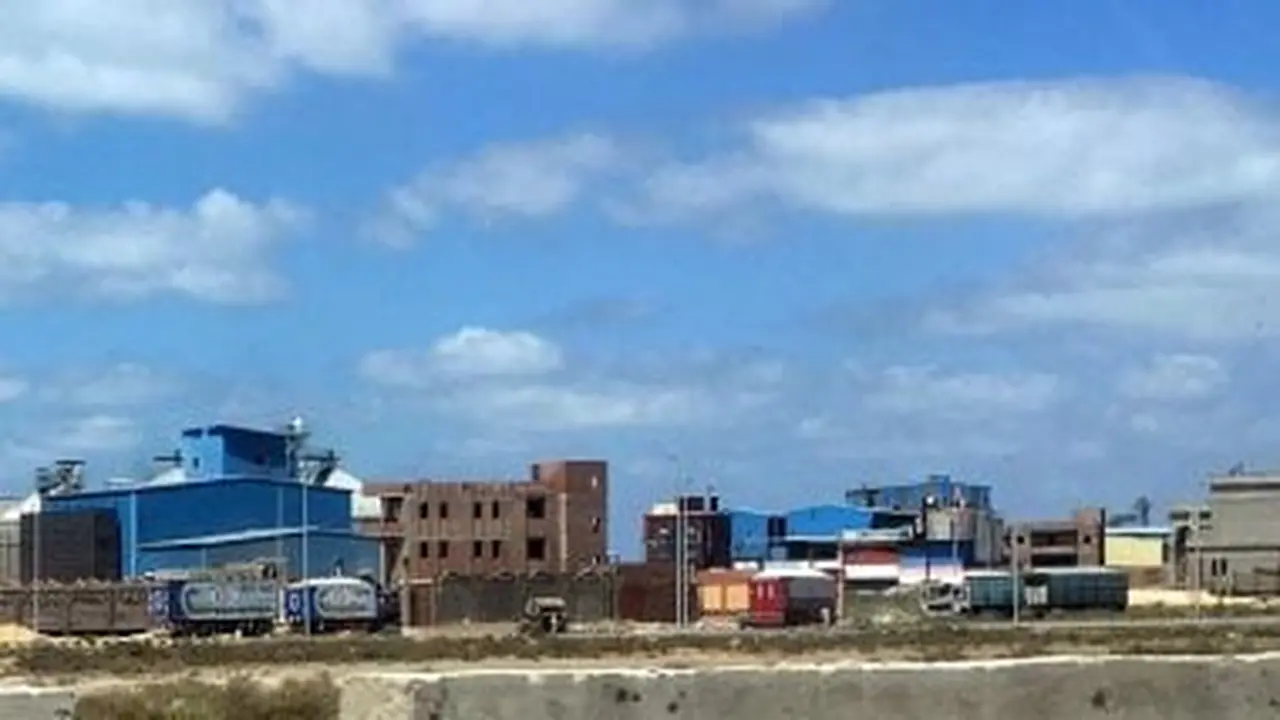 طقس القاهرة غدا: حرارة نهارية ودرجات باردة ليلاً مع شبورة ورياح نشطة